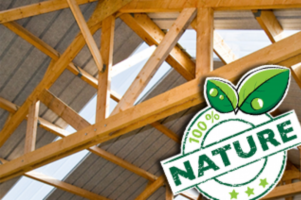 MAISON A OSSATURES BOIS : UN CHOIX D'AVENIR